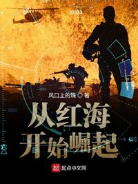 从红海行动开始 小说