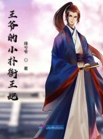 王爷的小妾免费阅读