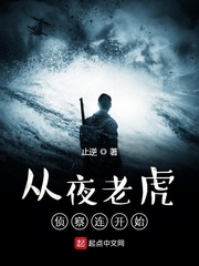穿越特一夜老虎侦察连的小说