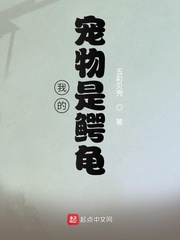我的宠物鳄龟作文