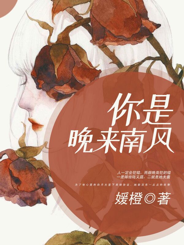 你是晚来的南风