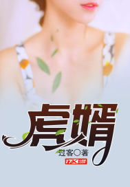 龙门虎婿小说