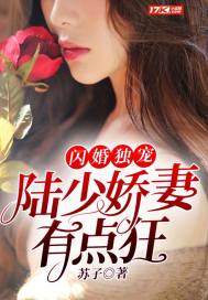 闪婚娇妻陆少太心急陆南城